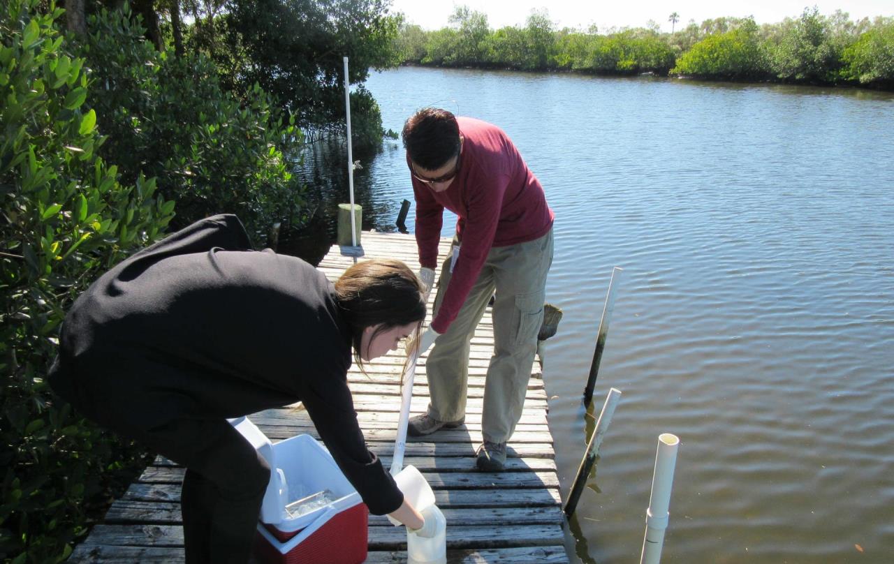 people on dock