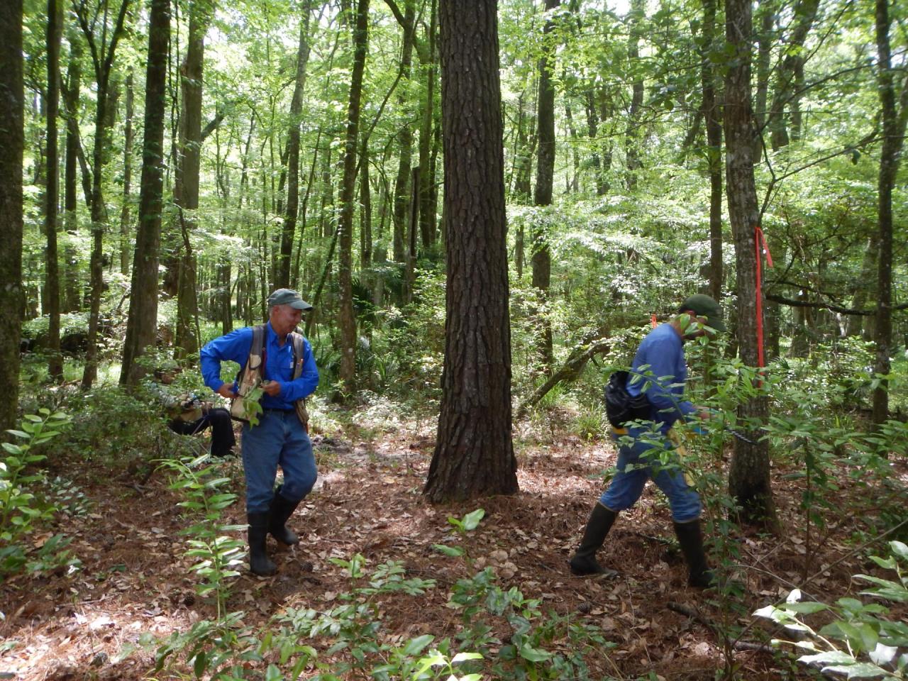 workers in wetlands