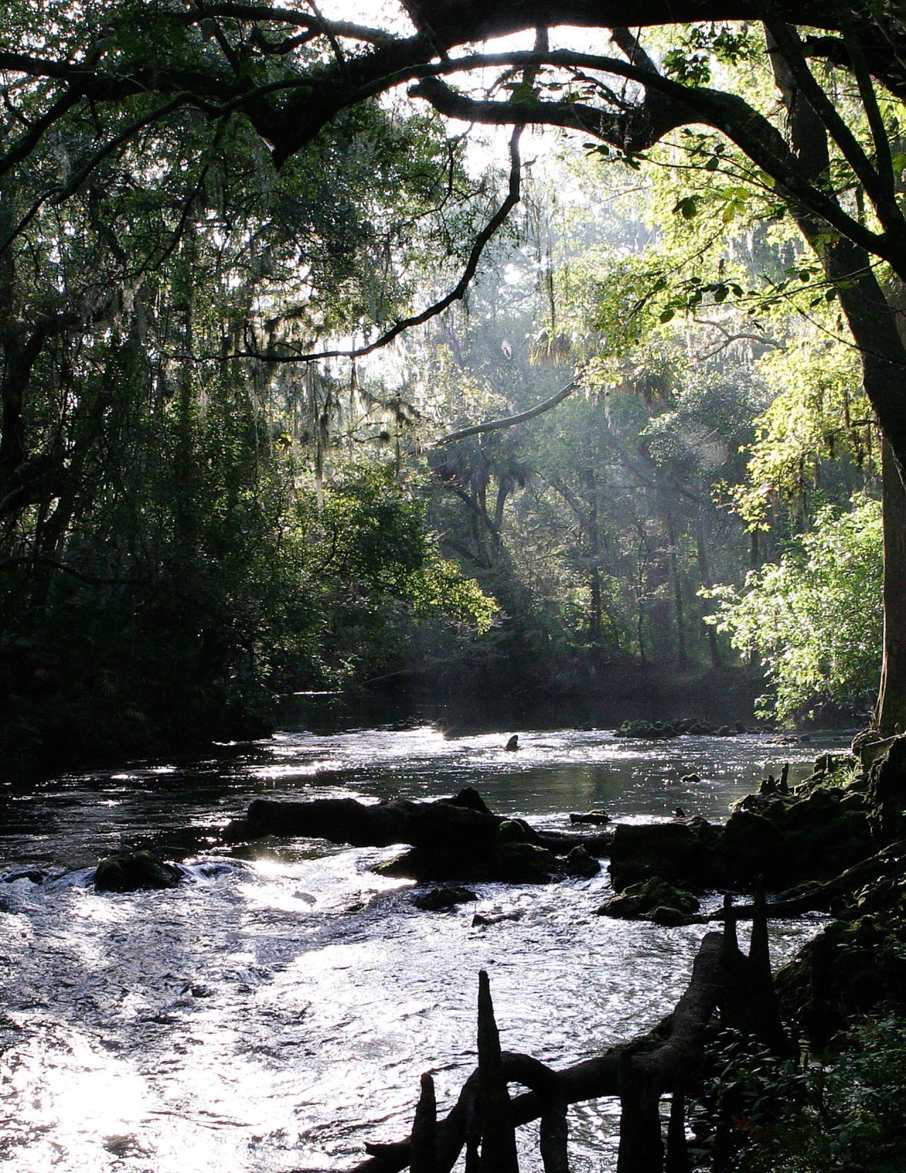 Hills River at HR State Park