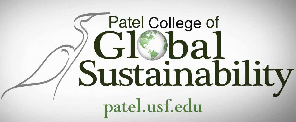 USF Patel Logo